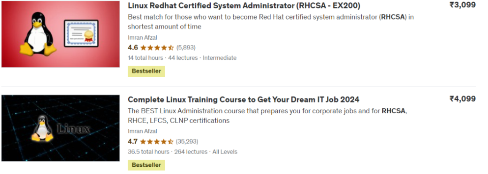 Udemy Courses