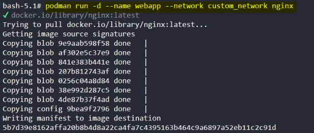 Run Container using Custom Network